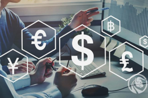 STP Forex Brokers
